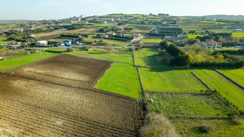 Eficiência como fator de competitividade na produtividade rural com Aldo Vendramin.