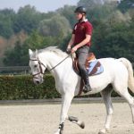 Como a Influenza Equina Está Transformando o Cenário do Hipismo e o Desempenho de Cavalos em Competições