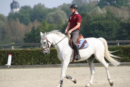 Como a Influenza Equina Está Transformando o Cenário do Hipismo e o Desempenho de Cavalos em Competições