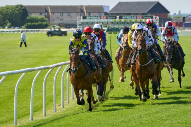Maceió impulsiona o hipismo no Brasil com abertura do Circuito Norte-Nordeste