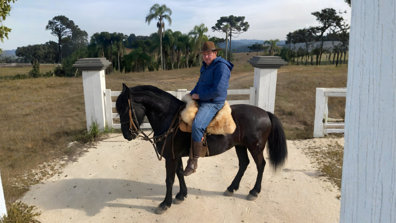 Com orientações de Altevir Seidel, descubra como cuidar de um cavalo corretamente no dia a dia por meio de práticas simples que fortalecem a rotina de manejo e o bem-estar equino.