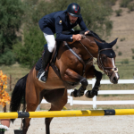 Premier Jumping League: a revolução bilionária que pode transformar o hipismo mundial