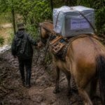 Urnas em áreas isoladas: como o uso de cavalos revela desafios logísticos e fortalece a democracia no Brasil