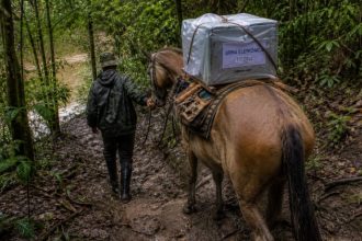 Urnas em áreas isoladas: como o uso de cavalos revela desafios logísticos e fortalece a democracia no Brasil