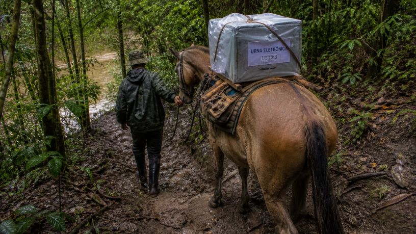 Urnas em áreas isoladas: como o uso de cavalos revela desafios logísticos e fortalece a democracia no Brasil