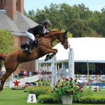 O Crescimento do Mercado de Esportes Equestres e a Busca por Informação Especializada Sobre Cavalos no Brasil