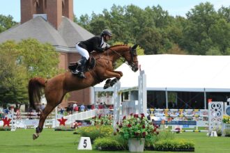 O Crescimento do Mercado de Esportes Equestres e a Busca por Informação Especializada Sobre Cavalos no Brasil