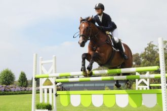 Os Impactos das Mudanças Regulatórias no Bem-Estar Animal e a Reputação dos Esportes Equestres Globais