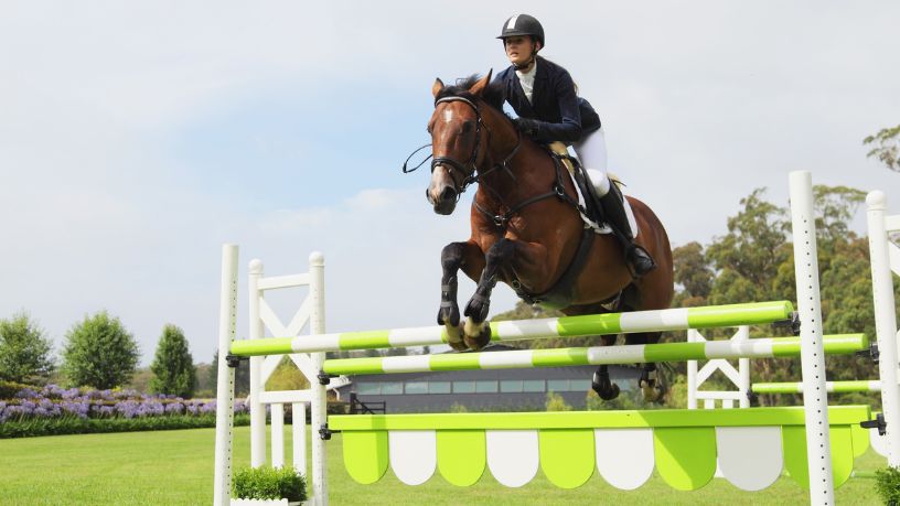 Os Impactos das Mudanças Regulatórias no Bem-Estar Animal e a Reputação dos Esportes Equestres Globais