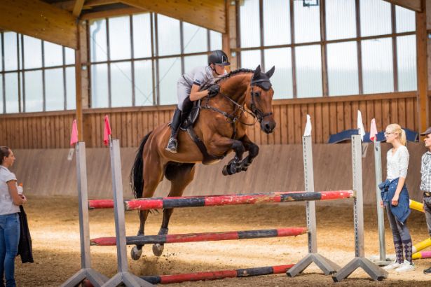 Brasil brilha no hipismo internacional com pódio em etapa da FEI Nations Cup e reforça preparação para 2026