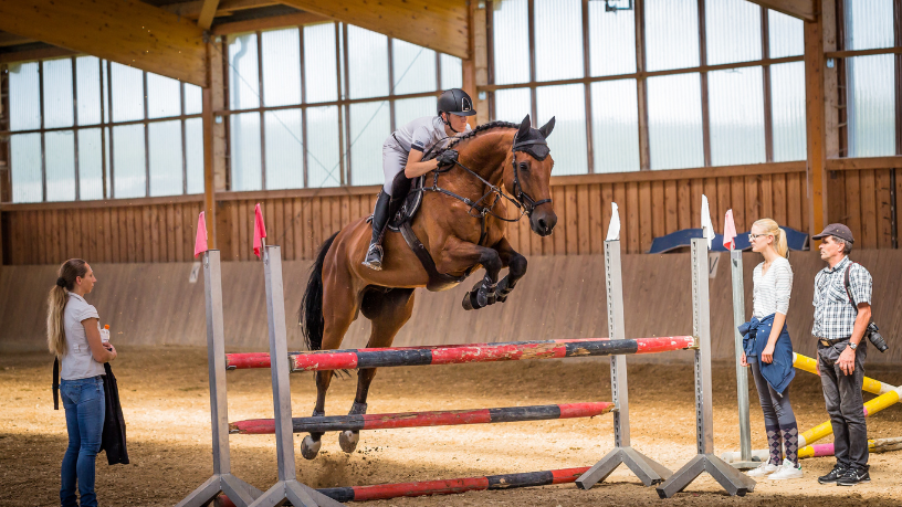 Brasil brilha no hipismo internacional com pódio em etapa da FEI Nations Cup e reforça preparação para 2026