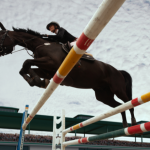 Senado discute mudanças em tributação de cavalos esportivos e gera alerta no hipismo brasileiro