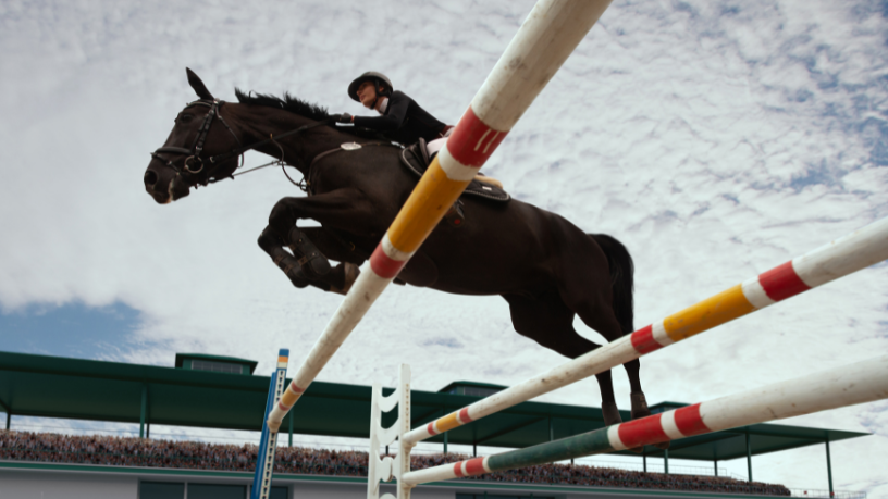 Senado discute mudanças em tributação de cavalos esportivos e gera alerta no hipismo brasileiro