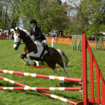 Tecnologia no hipismo: como inteligência artificial e sensores estão transformando os cuidados com cavalos atletas em 2026