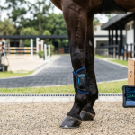 Tecnologia para cavalos ganha destaque em 2026 com sensor que monitora saúde, treino e recuperação em tempo real