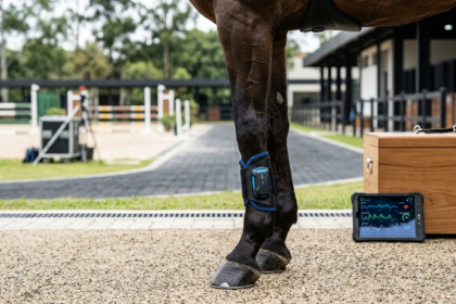 Tecnologia para cavalos ganha destaque em 2026 com sensor que monitora saúde, treino e recuperação em tempo real