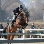 Brasil conquista ouro no salto e garante vaga para Lima 2027 no hipismo