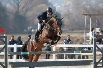 Brasil conquista ouro no salto e garante vaga para Lima 2027 no hipismo