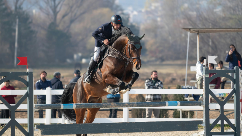 Brasil conquista ouro no salto e garante vaga para Lima 2027 no hipismo