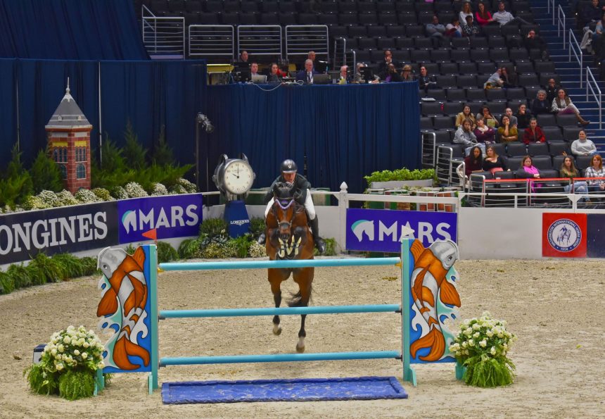 Cavaleiro conduz cavalo baio durante um salto sobre obstáculo em uma arena de hipismo.