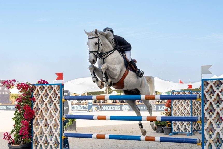 Cavaleiro e cavalo saltam um obstáculo durante uma competição equestre ao ar livre.