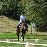 Amazona conduz um cavalo em uma arena externa de adestramento cercada por vegetação.