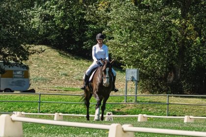 Amazona conduz um cavalo em uma arena externa de adestramento cercada por vegetação.