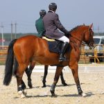Cavaleiros com trajes formais participam de uma competição de adestramento ao ar livre.